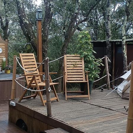 Evasion En Pleine Nature, Tipi Insolite Et Jacuzzi Au Pont Du Gard ! Vers-Pont-du-Gard Exteriör bild
