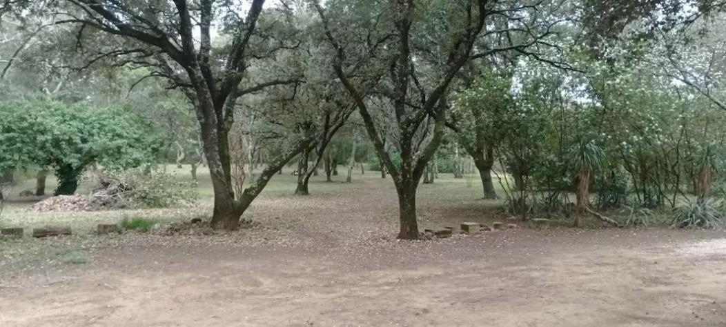 Evasion En Pleine Nature, Tipi Insolite Et Jacuzzi Au Pont Du Gard ! Vers-Pont-du-Gard Exteriör bild