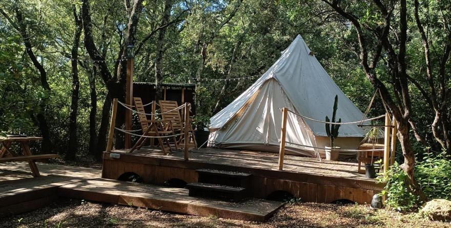 Evasion En Pleine Nature, Tipi Insolite Et Jacuzzi Au Pont Du Gard ! Vers-Pont-du-Gard Exteriör bild